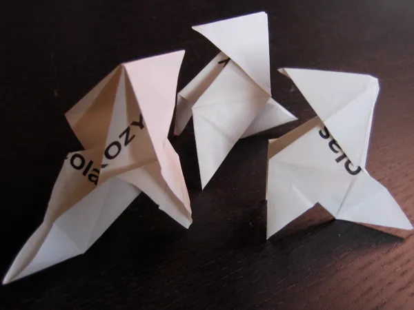 Sarkokotes en papier